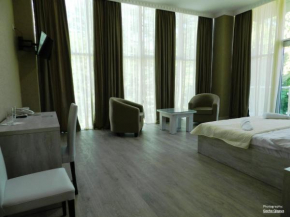 Hotels in Martvili